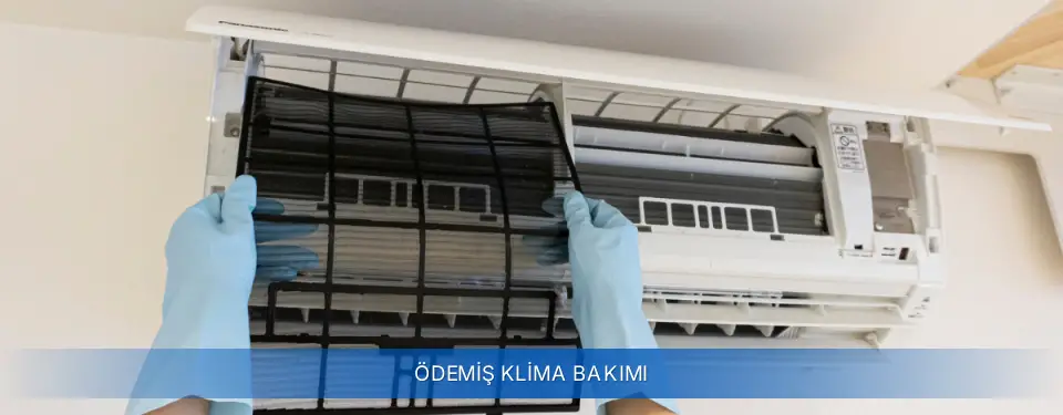 Ödemiş İlçemi Airfel Klima Bakımı