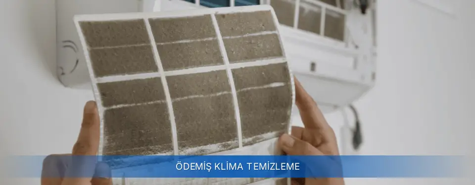 Ödemiş İlçemi Airfel Klima Temizleme